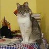 Отзыв от Олеся Калашникова